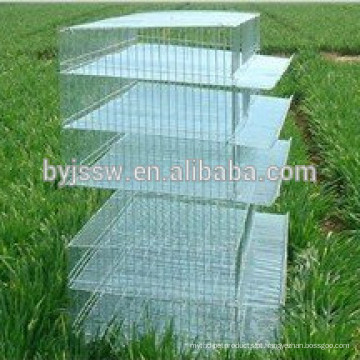 Layer Quail Battery Cage (Professional Factory)